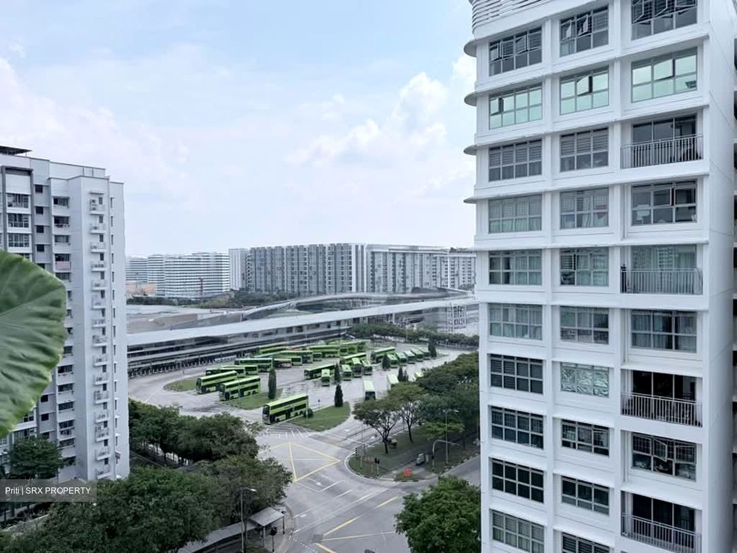 Blk 288A Punggol Arcadia (Punggol), HDB 4 Rooms #597723891